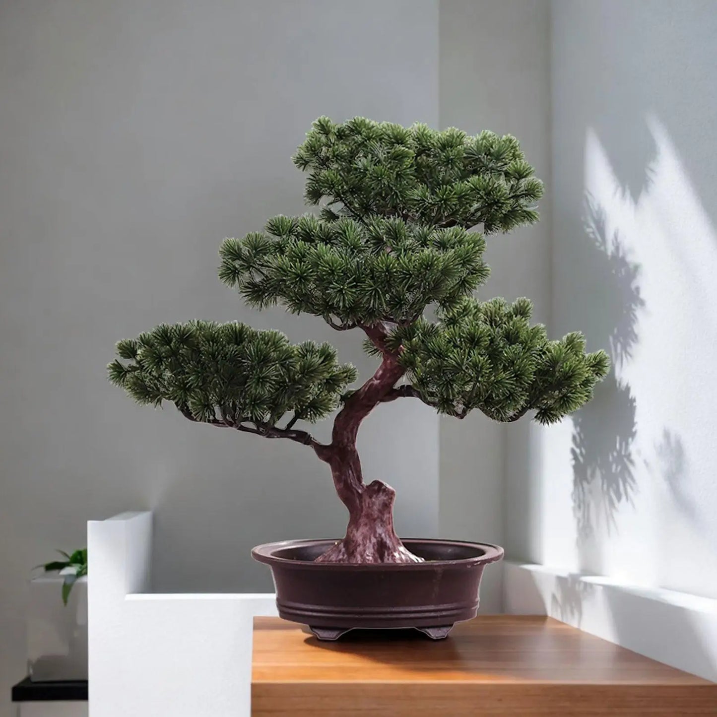 Planta Bonsai Artificial em Vaso